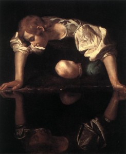 narcissus